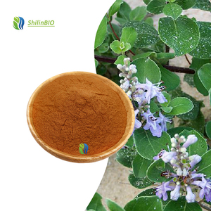 Extracto de <span class=keywords><strong>Vitex</strong></span> <span class=keywords><strong>Trifolia</strong></span> en Polvo Soluble en Agua de Grado Alimenticio 10:1 20:1 - Product Image 1