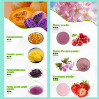 Poudre de jus de fruit Rainbow Supply, poudre de litchi/litchi en poudre/poudre de litchi lyophilisée de la meilleure qualité