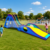 Toboggans aquatiques gonflables géants en PVC bleus pour enfants et adultes, prix d'usine Wolong