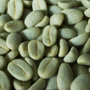 Café de Vietnam de alta calidad, granos verdes de café Robusta/Arábica, fabricante de suministros de Vietnam, muestra gratis - Product Image 1