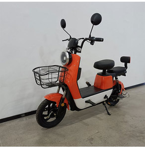 Bicicleta Eléctrica para Adultos de 500W/1000W 48V de Largo Alcance, Cuadro de Acero al Carbono, Batería de 960Wh, 3 Velocidades, Frenos de Disco Hidráulicos, Pantalla LCD Digital - Product Image 1
