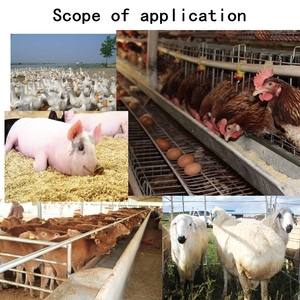 최고급 L-트레오닌 98% CAS 72-19-5 L-트레오닌 사료 등급 트레오닌 분말 가격 - Product Image 4