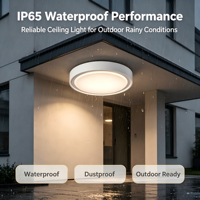Plafonnier extérieur en plastique anti-corrosion étanche IP65 de 30 cm de diamètre, 18 W, garantie 3 ans, plafonnier LED moderne