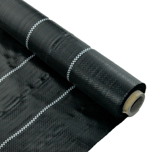 Finely Processed Green <b>Ground</b> Cover Fabric With Courtyard - Product Image 6