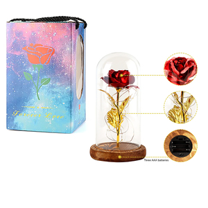 Ingrosso piccolo principe cupola di vetro rosa DIY stile moderno decorazione per la casa con ornamento fiore portacandele - Product Image 1
