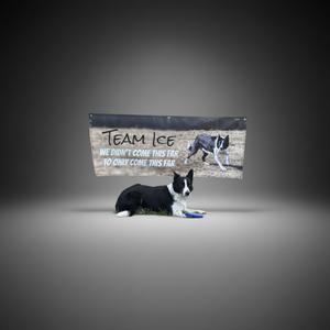 Pancarta Publicitaria Portátil de Vinilo Resistente al Agua para Centros Comerciales, Personalizable en Tamaño y Color para Promoción en Tiendas Físicas - Product Image 1