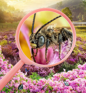 Lupa de mano 3X, equipo experimental científico, lupa para personas mayores, lectura, niños y estudiantes - Product Image 4