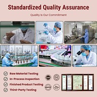 Gomitas de Proteína Veganas Personalizadas OEM ODM |   Proteína Vegetal de Marca Privada 10g |   Mezcla de Proteína de Soya y Arroz |   120 Gomitas