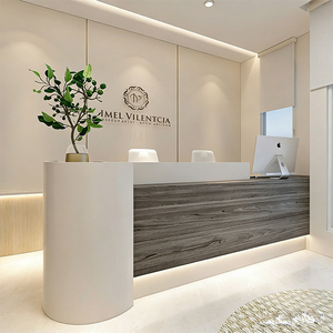 Mostrador de Recepción para Salón de Belleza, <span class=keywords><strong>Bar</strong></span>, Color Personalizado, Mostrador de Venta al por Menor, Mostrador de Recepción Grande Iluminado - Product Image 6