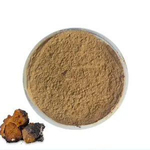 Supplément de Chaga en poudre d'extrait de champignon chaga sauvage en gros avec polysaccharide 25%