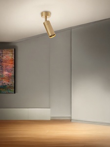 <span class=keywords><strong>Spot</strong></span> LED Nordique en laiton doré et bronze, montage en surface, pour <span class=keywords><strong>rail</strong></span> Zoom Agi32, idéal pour <span class=keywords><strong>salon</strong></span>, entrée intelligente - Product Image 4