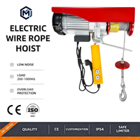 Mini palan électrique sans fil de qualité industrielle CE, léger, IP54, monophasé, 50 kg, pour atelier domestique, garage