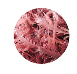 สาหร่ายดิบสีแดงทั้งหมดสำหรับขาย - Product Image 6