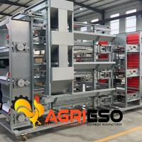 Cage à poules pondeuses de type A, alimentation et abreuvement automatiques, collecte des œufs, élimination du fumier, solution complète pour élevage avicole