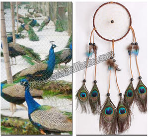 <span class=keywords><strong>Attrape</strong></span>-rêves bohème à suspendre au mur, <span class=keywords><strong>attrape</strong></span>-rêves faits à la main, <span class=keywords><strong>attrape</strong></span>-rêves en plumes <span class=keywords><strong>de</strong></span> <span class=keywords><strong>paon</strong></span> faits à la main, matériaux - Product Image 4