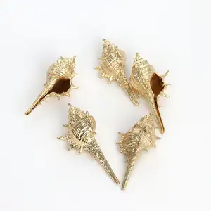 Vente directe du fabricant escargot Long en conque pour accessoires de tir - Product Image 1