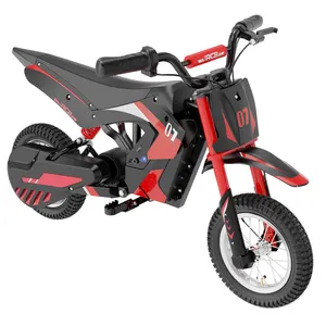 Folding Kid Dirt Bike 20 Inch Battery 36V Ebike 2000W Dual Hub Motor Foldable Electric Bike For Sale