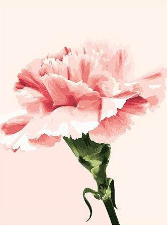 Color As Picture Shown