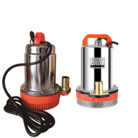 Incroyable pompe à haute pression pour irrigation agricole 12v 370w ZQB DC Mini pompe à eau submersible à brosse