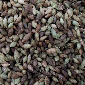 Frutos Secos de Xanthium Strumarium (Cang <span class=keywords><strong>Er</strong></span>) Naturales y Crudos a la Venta - Product Image 1