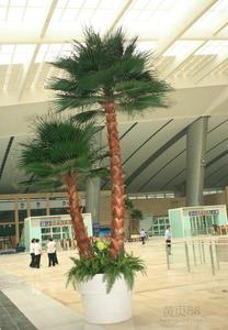Washingtonia ต้นปาล์มลำต้นตรงจำลองสีไฟเบอร์กลาสป้องกันรังสียูวีออกแบบตกแต่งกลางแจ้ง - Product Image 2
