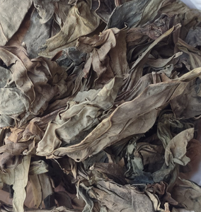 Feuilles de langue de dragon séchées naturelles Long <span class=keywords><strong>Li</strong></span> <span class=keywords><strong>Ye</strong></span> pour le thé traditionnel - Product Image 4