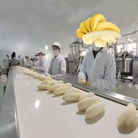 Automatische Weegbree Yam Meel Molen Machine Weegbree Poederverwerkingslijn Banaan Poeder Maken Machine