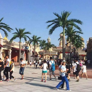 Palmera de fibra de vidrio para <span class=keywords><strong>interior</strong></span> y exterior, palmera Artificial Tropical de plástico, 2m, 3m, 4m de alto - Product Image 3