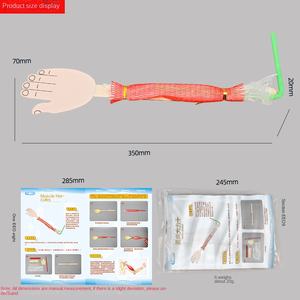 Expérience scientifique <span class=keywords><strong>pour</strong></span> enfants : Muscles d'Hercule – Éducation scientifique, physique et chimique (Matériel en papier) - Product Image 4