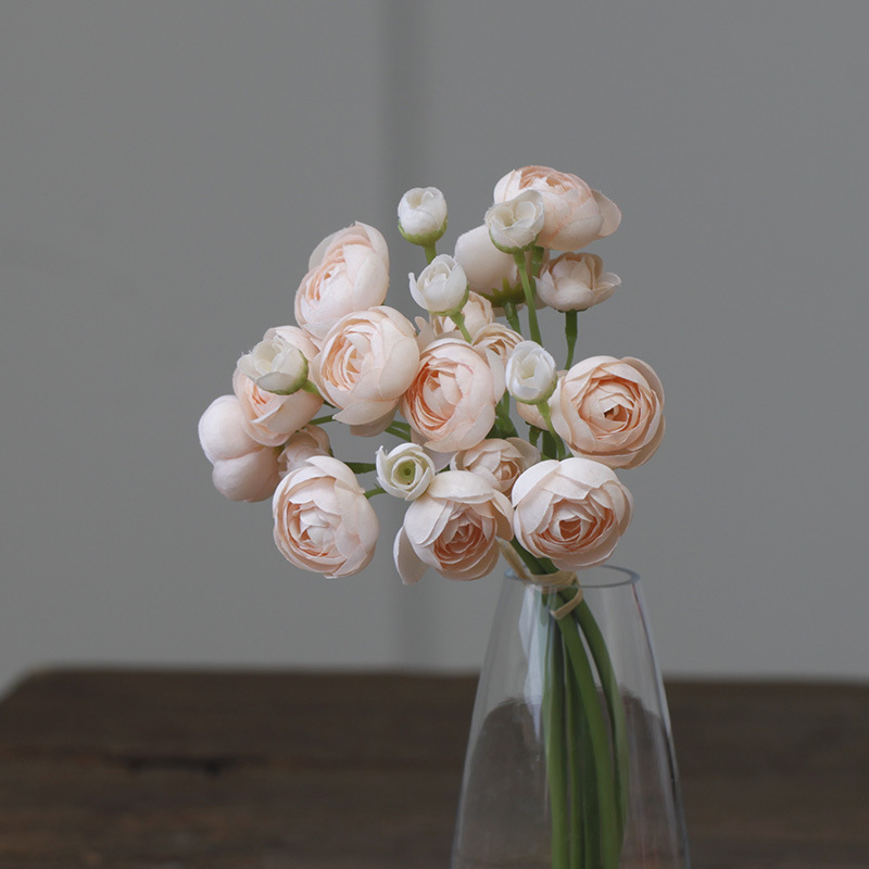 Champagne de printemps
