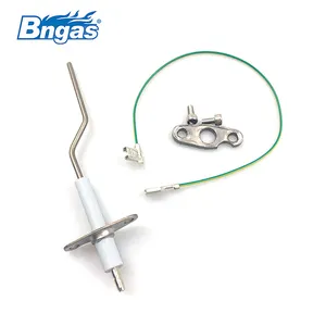 Boiler pare parts flame sensing electrode kit flame sensor