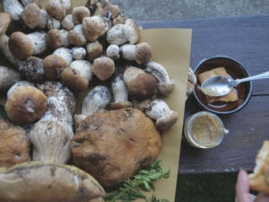 Funghi&funghi by Borgolab Crema de Champiñones Porcini 180g Frasco Estándar Almacenamiento a Temperatura Ambiente para Sazonar - Product Image 4