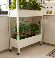 Étagère à plantes en acier inoxydable écologique pour la maison et le jardin, facile à assembler, pour plantes vertes