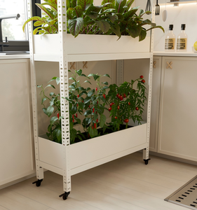 Scaffale per <span class=keywords><strong>Piante</strong></span> da Giardino in Acciaio Inossidabile Ecologico con Montaggio Facile per <span class=keywords><strong>Piante</strong></span> Verdi - Product Image 4
