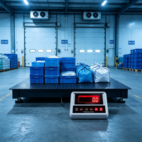 Balance de sol industrielle en acier au carbone Q235B Q345, capacité 1-3 tonnes, précision 500g, affichage LCD LED