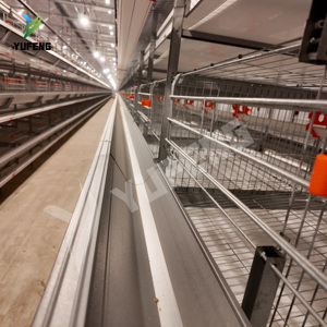 <span class=keywords><strong>Cage</strong></span> à poules de type H, <span class=keywords><strong>cage</strong></span> à poules pondeuses, <span class=keywords><strong>cage</strong></span> à poules pondeuses d'œufs, <span class=keywords><strong>cage</strong></span> à poules OEM acceptée, grande capacité, automatique, 4 niveaux pour 10 000 oiseaux - Product Image 4