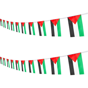 Promoción personalizada 14*21 cm bandera decorativa interior y exterior personalizada banderines palestinos Palestina cadena bandera - Product Image 1