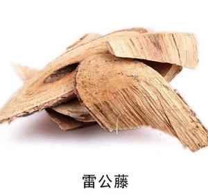 Semillas Naturales <span class=keywords><strong>de</strong></span> Tripterygium Wilfordii, Extracto <span class=keywords><strong>de</strong></span> Raíz <span class=keywords><strong>de</strong></span> Thunder God Vine en Cápsulas y Polvo para Celastrol/Tripterina - Product Image 3