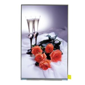 热销 BOE 10.1 英寸 IPS TFT 液晶显示屏 1200x1920 450cd/<span class=keywords><strong>m</strong></span> 16.7M 100% SRGB TV101WUM-NH3 适用于平板电脑 - Product Image 2