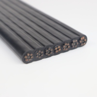 Câble plat flexible 18 AWG en cuivre toronné isolé PVC pour palan aérien, système de feston, chariot et enrouleur - Fabricant