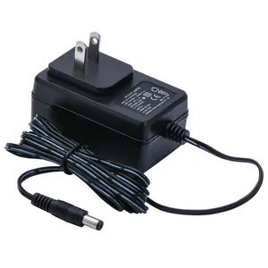 Interchangeable US Plug 12V 24V 1A 2A 24W Ac Dc Power Supply Switch Charger Power Adapter