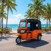 Tuk Tuk Électrique Haute Vitesse 6 Places 3000W Batterie Lithium Tricycle Électrique Certifié CEE pour Taxi Bus