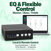 Mini 40W D Sınıfı Güç Amplifikatörü Dengeli Ses Girişi Stereo Köprü Çıkışı EQ Ayarı RS232 TCP/IP IR Kontrolü Dijital Ses Amplifikatörü