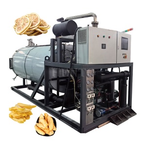 Máquina de Liofilización de Alimentos de Alta Calidad / Máquina de Liofilización de Frutas / Liofilizador al Vacío - Product Image 4