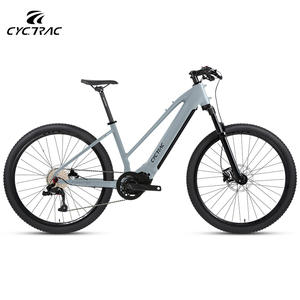 Bicicleta Eléctrica Económica para Adultos con Motor de 48V250W de Transmisión Media y 10 Velocidades, la <span class=keywords><strong>Mejor</strong></span> Oferta en Venta - Product Image 4