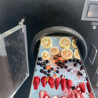 Industriële volautomatische SUS304 vacuümvriesdroogmachine, op maat gemaakte apparatuur voor het vriesdrogen van snacks, fruit en groenteschijfjes