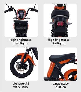 Cheap Price Hot Selling High Quality Long Range Carbon Steel Frame 48V Brushless Motor 1000W Lithium Battery - Product Image 3