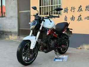 Motocicleta Deportiva Benelli Huanglong <span class=keywords><strong>300</strong></span> de Dos Cilindros en Línea, Refrigerada por Líquido, para Uso Diario - Product Image 2