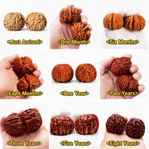 คู่วอลนัทเม็ดมังกรธรรมชาติ - Product Image 5