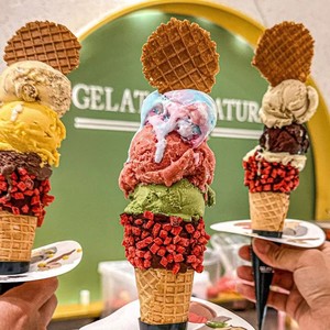 Base in Polvere Premiscelata per Sorbetto alla Frutta Senza Lattosio con Purea di Frutta, Zucchero e Acqua per Preparare Gelato - Product Image 4
